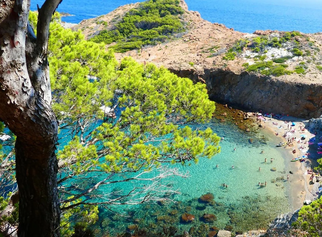 Cap Sa Sal - Sa Roca 1 - Studio Acceso Directo Al Mar بيغور